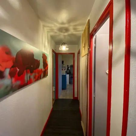 Type 1bis Appartement Gourdon