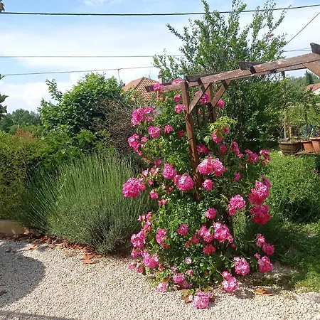 Type 1bis Gourdon-en-quercy
