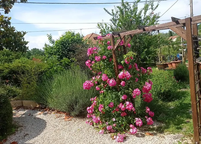 Type 1bis غوردون أون كيرسي